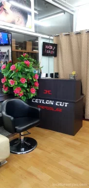 New Ceylon Cut, Brisbane - Photo 2