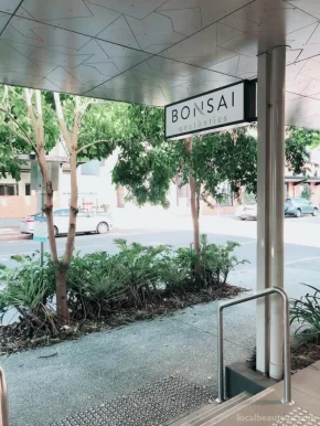 Bonsai Aesthetics, Brisbane - Photo 3