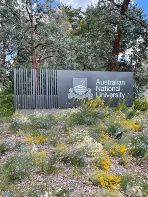T Brows Australian National University, Australian Capital Territory - Photo 8